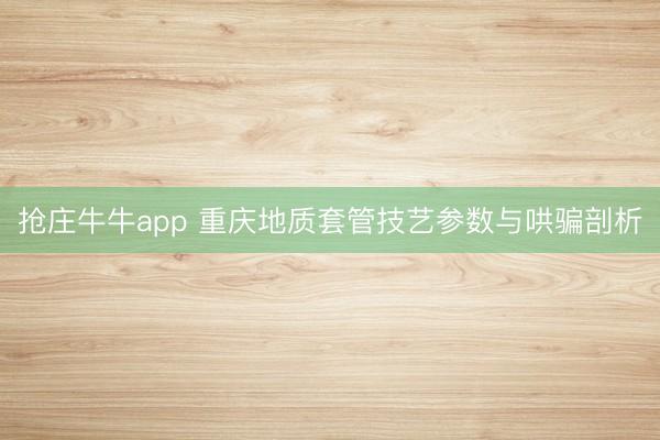 抢庄牛牛app 重庆地质套管技艺参数与哄骗剖析