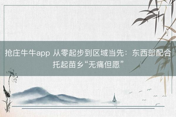 抢庄牛牛app 从零起步到区域当先：东西部配合托起苗乡“无痛但愿”