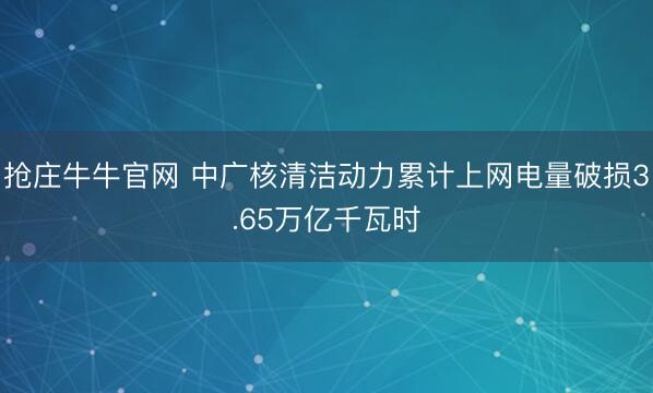 抢庄牛牛官网 中广核清洁动力累计上网电量破损3.65万亿千瓦时
