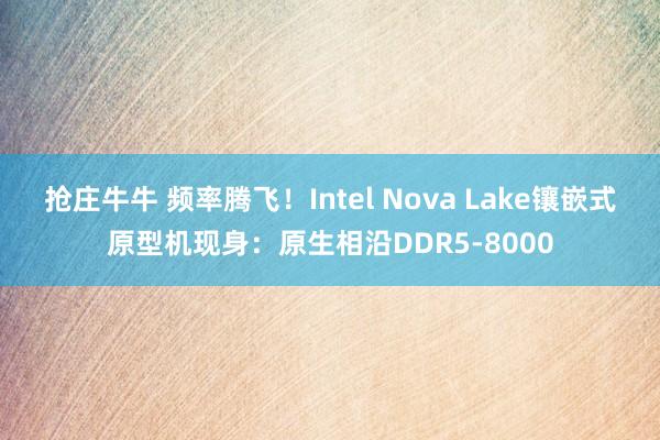 抢庄牛牛 频率腾飞！Intel Nova Lake镶嵌式原型机现身：原生相沿DDR5-8000