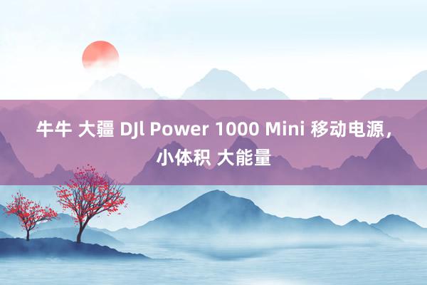 牛牛 大疆 DJl Power 1000 Mini 移动电源，小体积 大能量