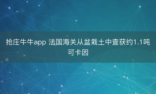 抢庄牛牛app 法国海关从盆栽土中查获约1.1吨可卡因