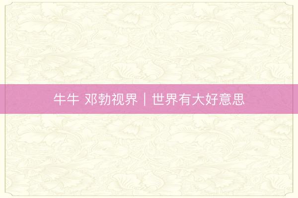牛牛 邓勃视界｜世界有大好意思