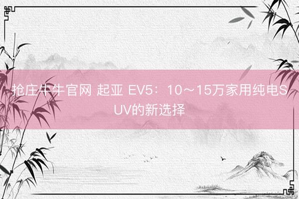 抢庄牛牛官网 起亚 EV5：10～15万家用纯电SUV的新选择
