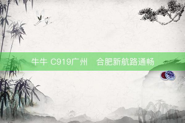 牛牛 C919广州⇌合肥新航路通畅