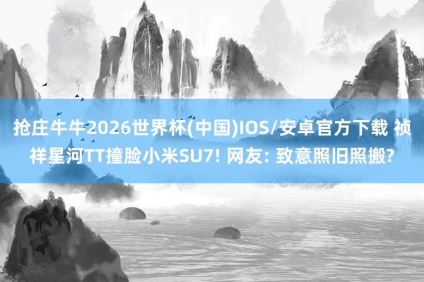 抢庄牛牛2026世界杯(中国)IOS/安卓官方下载 祯祥星河TT撞脸小米SU7! 网友: 致意照旧照搬?