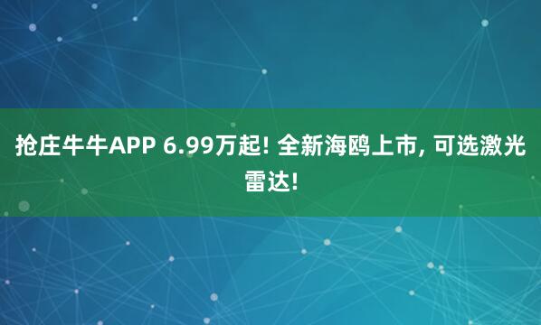 抢庄牛牛APP 6.99万起! 全新海鸥上市， 可选激光雷达!
