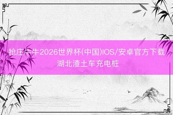 抢庄牛牛2026世界杯(中国)IOS/安卓官方下载 湖北渣土车充电桩