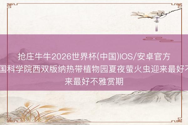 抢庄牛牛2026世界杯(中国)IOS/安卓官方下载 中国科学院西双版纳热带植物园夏夜萤火虫迎来最好不雅赏期